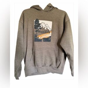 Mammoth Mountain California Graphic Men's Hoodie in Brown XL